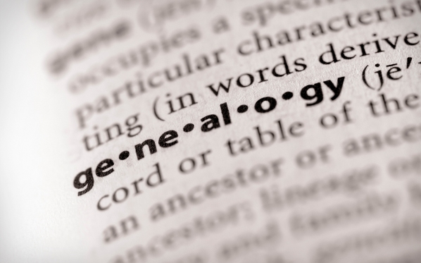 Dictionary Series - Miscellaneous: genealogy